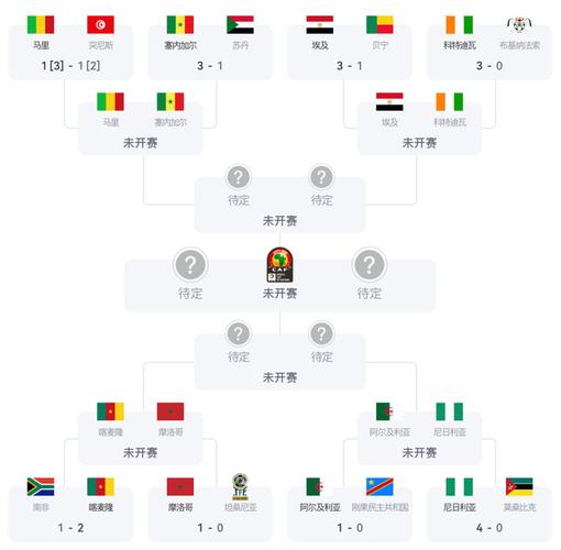 2021非洲杯全部结果？非洲杯赛果？