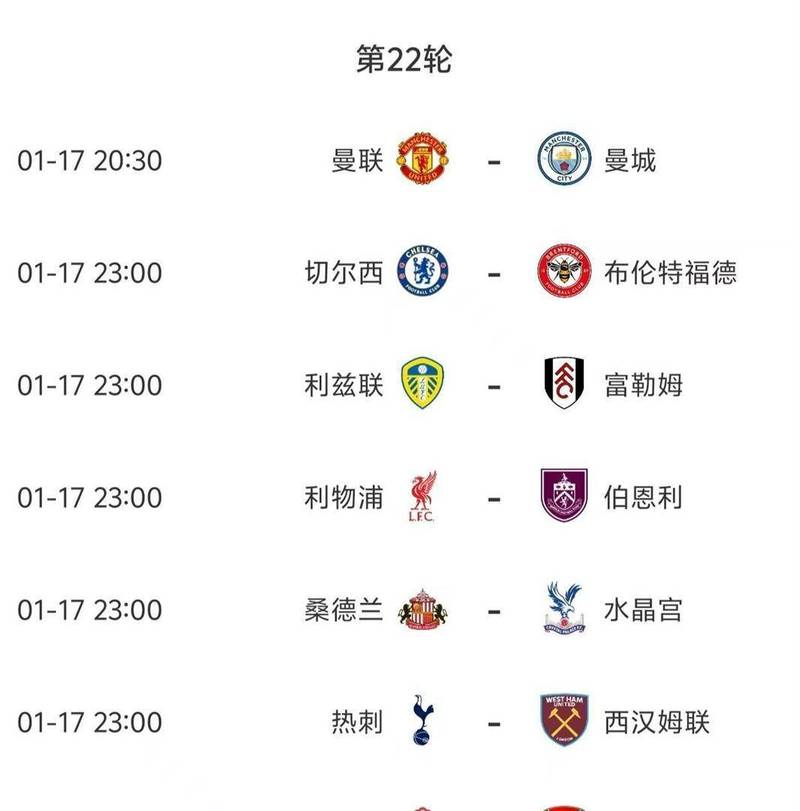英超第22轮最佳球员候选：B费、梅努、杜布拉夫卡在列